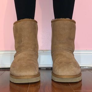Classic short UGG boots in chestnut